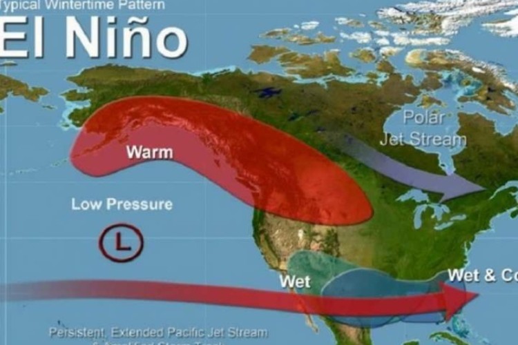 رخداد پدیده آب و هوایی " ال نینو" و تغییر در شیوع رایج بیماری های واگیر در دنیا در سال جاری