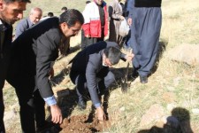 20هکتار از مراتع پاوه با بذر بلوط غنی سازی شد+تصاویر