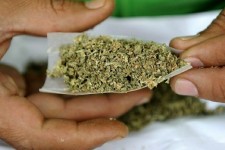 کشف ۱۶۰۰ گرم مواد مخدر گراس در پاوه