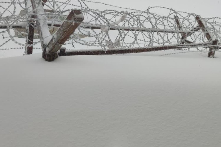 بارش ۱۲۰ سانتیمتری برف در پاوه