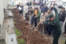 کاشت بیش از 50 هزار نهال در هفته منابع طبیعی در شهرستان پاوه