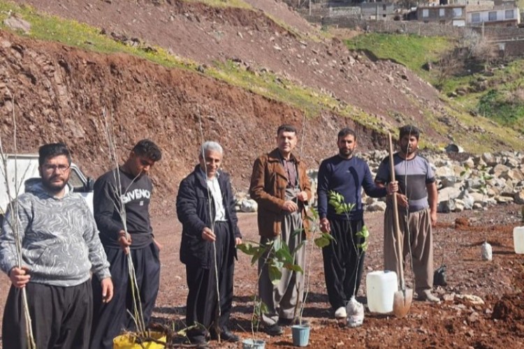 کاشت نهال در نوسود