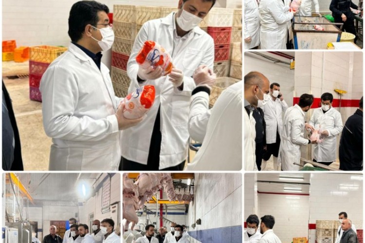 بازدید شبانه کارگروه تنظیم بازار شهرستان پاوه از کشتارگاه مرغ زاگرس روانسر