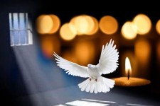 فراهم شدن مقدمات آزادی زندانی فرهنگی بعد از تحمل بیش از سه سال حبس از زندان پاوه