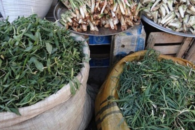 نواخته‌شدن زنگ خطر انقراض گیاهان بهاره در شاهو