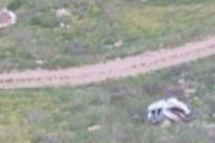 حادثه رانندگی مرگبار با ۲ کشته در محور پاوه به مریوان