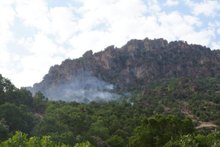 آتش‌سوزی منطقه «بلبزان» پاوه پس از 4 شبانه‌روز مهار شد