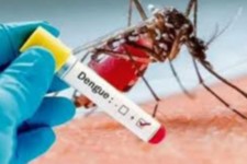 آنچه در مورد بیماری تب دانگ باید بدانید