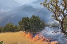 آتش سوزی جنگلها و مراتع شاهو در سروآباد مهار شد