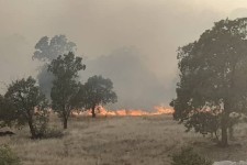 10 هکتار از مراتع و جنگلهای بوزین و مرخیل پاوه در آتش سوخت