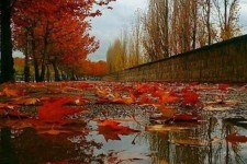 آماده‌باش در کرمانشاه برای بارندگی