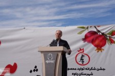 مردم باید از ثبت جهانی هورامان/اورامانات بهره‌مند شوند/ جشنواره شکرانه انار پاوه باید ملی شود