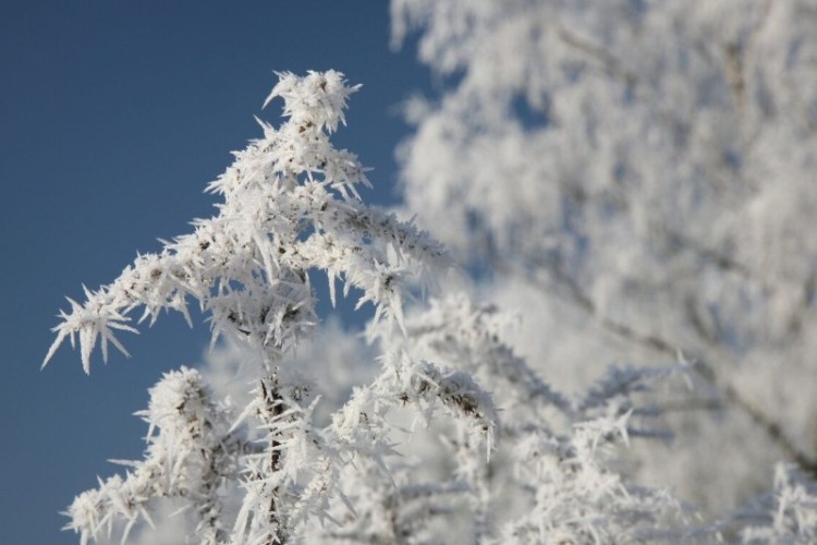 تداوم جبهه هوای سرد تا روز سه شنبه؛ ثبت دمای زیر صفر در ۱۹ منطقه کرمانشاه