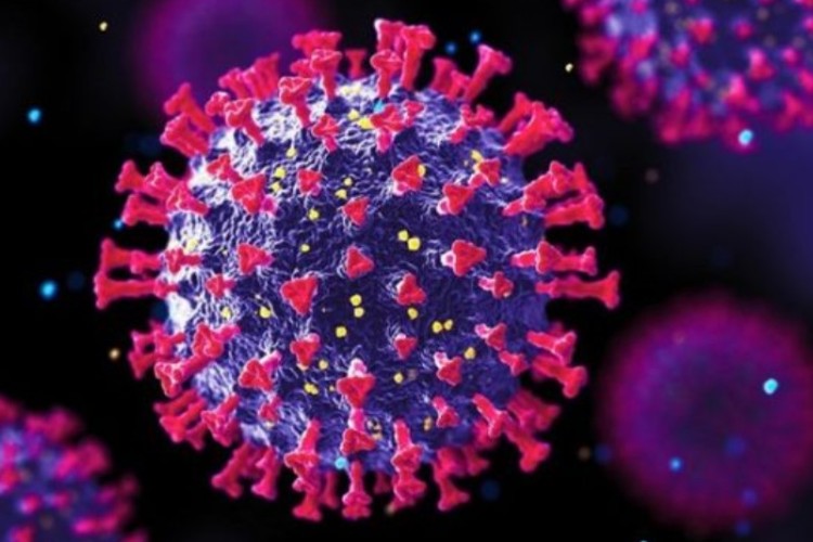 تداوم شیوع آنفلوآنزا تا اواخر دی‌ماه