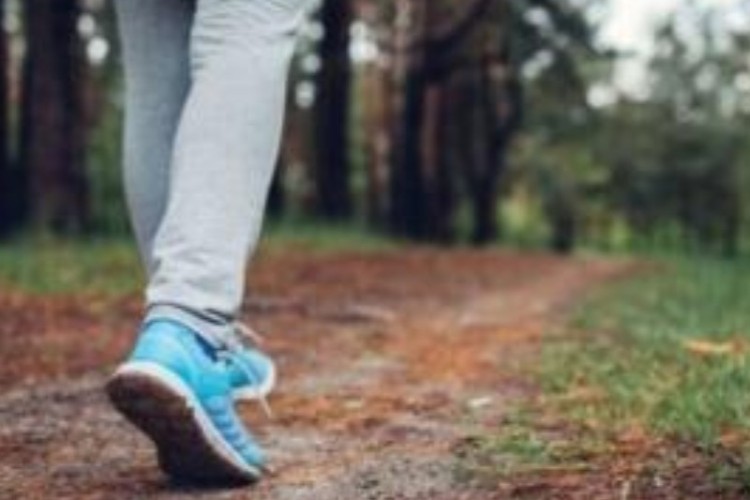 کرمانشاه در پویش ملی «گام‌های مادرانه» اول شد /پاوه با کسب دو رتبه در این پویش ملی