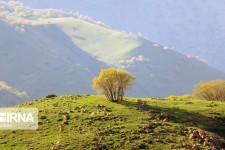 ۵ اثر طبیعی استان کرمانشاه ثبت ملی شد