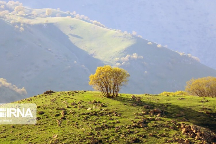 ۵ اثر طبیعی استان کرمانشاه ثبت ملی شد