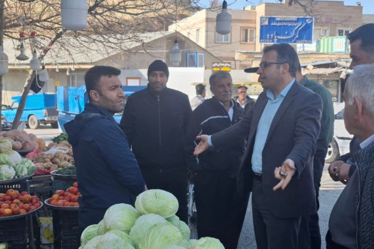 تداوم بازدیدهای میدانی دادستان از سطح شهر پاوه