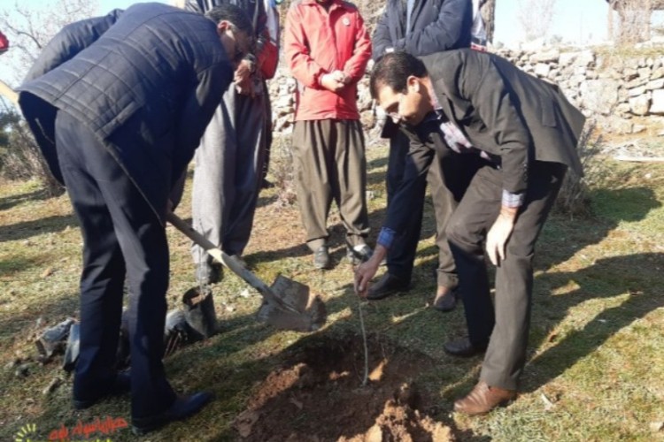 کاشت ۱۰۰ اصله نهال در پاوه