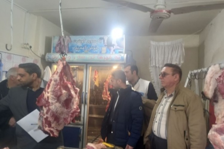 انجام گشت مشترک بازرسی از مراکز عرضه مواد خام دامی در شهرستان پاوه