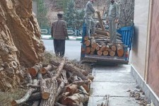 عامل قطع درختان بوزین و مرخیل دستگیر شد