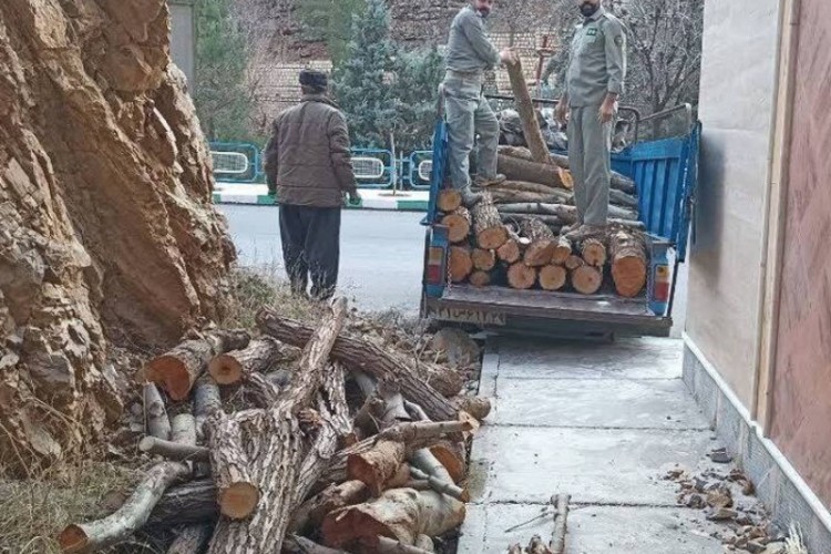 عامل قطع درختان بوزین و مرخیل دستگیر شد