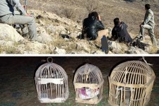 دستگیری ۲ اکیپ شکارچی غیرمجاز در روانسر
