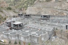 رشد ۲۳۰۰ برابری تولید آبزیان در کرمانشاه پس‌از انقلاب