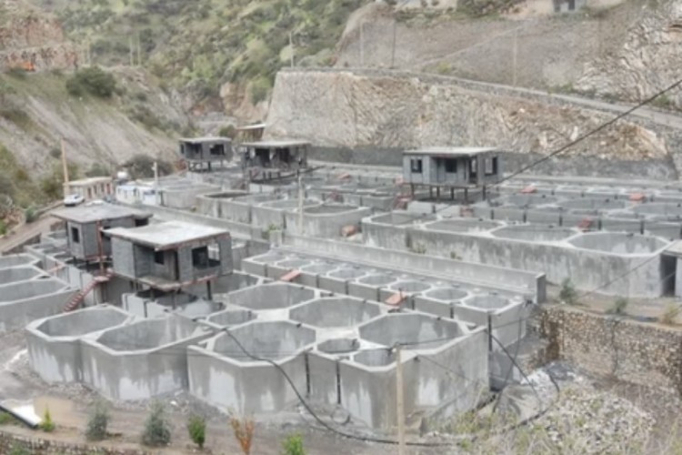 رشد ۲۳۰۰ برابری تولید آبزیان در کرمانشاه پس‌از انقلاب