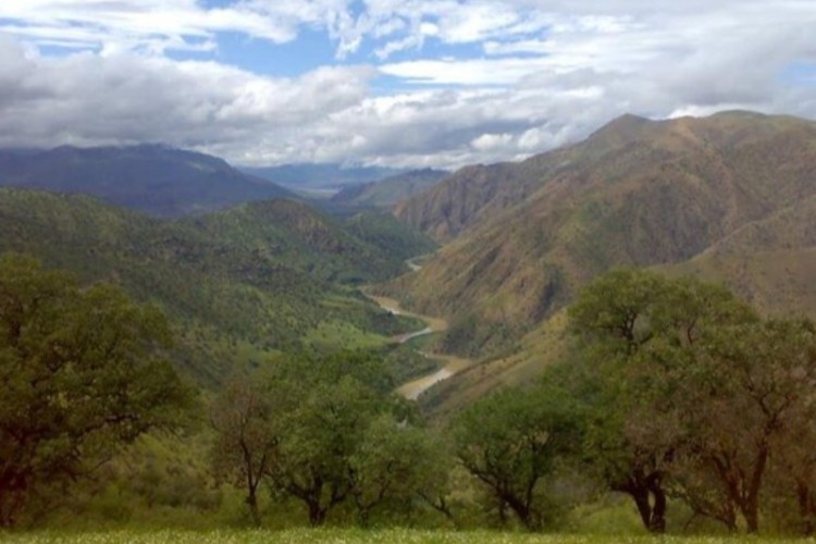 بوزین و مره‌خیل؛ از درختان ۳۰۰ ساله تا زیستگاه منحصر بفرد «شوکا»