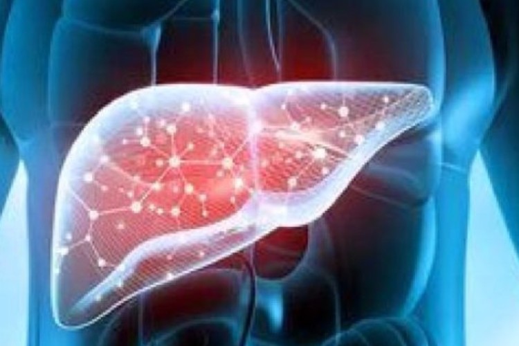 عوامل محیطی و ارثی بیماری‌های کبدی