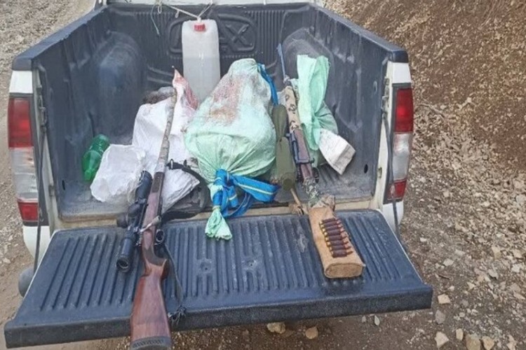 کشف لاشه ۲ رأس گراز وحشی از شکارچیان متخلف در پاوه