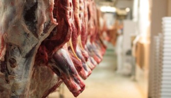 نظارت‌های بهداشتی بر کشتارگاه دام پاوه تشدید شد