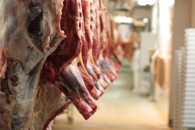 نظارت‌های بهداشتی بر کشتارگاه دام پاوه تشدید شد