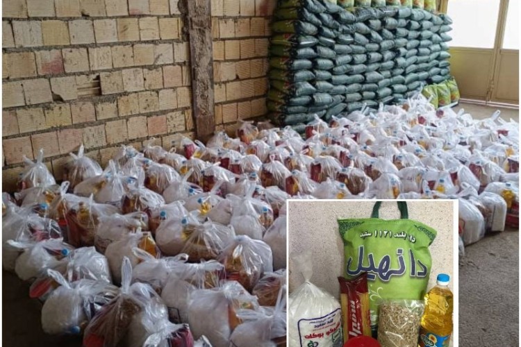روایتی از وفاداری دختر پاوه‌ای به خاک زادگاهش/توزیع ۱۴۵ سبد غذایی در بین نیازمندان پاوه