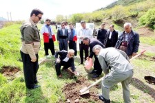نمادسازی مقاومت با کاشت ۱۰۰ اصله نهال در پاوه ‌