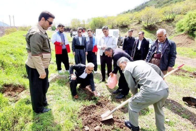 نمادسازی مقاومت با کاشت ۱۰۰ اصله نهال در پاوه ‌