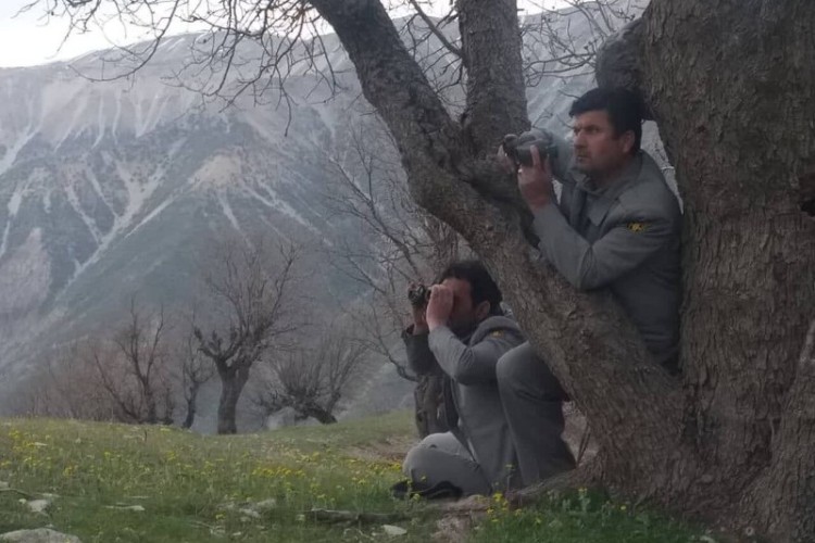 شکارچیان در کمین، محیط‌بانان در میدان/سه عملیات موفق برای صیانت از محیط زیست کرمانشاه