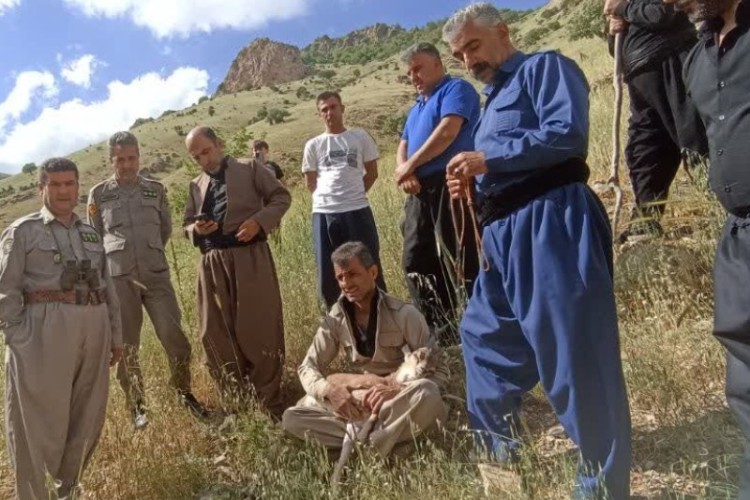 رهاسازی یک رأس کلچه پس از بهبودی کامل در زیستگاه باینگان