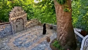 مسجد «گُله‌رنه» پاوه؛ عبادتگاهی روباز، زیر سایه چنار ۵۰۰ ساله