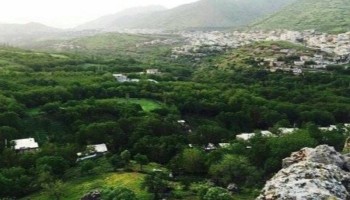 گلایه اهالی شهرک‌های الحاقی نسمه، دوریسان و چورژی پاوه به قطعی‌های مکرر آب