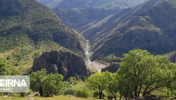جنگل‌های زاگرس؛ دیوار سبز ایران در محاصره آتش، آفت و کمبود زادآوری