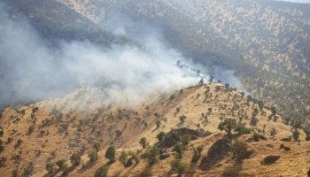 بسیج نیروها و امکانات ستاد بحران پاوه برای مهار آتش‌سوزی منطقه شیخان نوسود