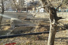 جوابیه آبفای پاوه بر خبر قطع چندین اصله درخت در سراب هولی پاوه