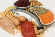 پروتئين حیوانی يا گياهی؟