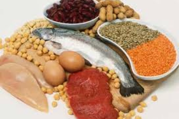 پروتئين حیوانی يا گياهی؟
