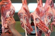 پلمب یک قصابی بین راهی در پاوه به دلیل کشتار غیر مجاز