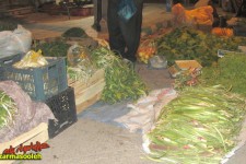 آغاز برداشت گیاهان خوراکی و دارویی در پاوه 