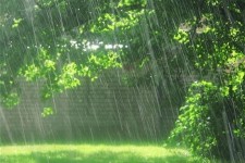 بارش بیش از 50 میلمتری باران در دو روز اخیر در پاوه