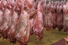 قیمت جدید انواع گوشت قرمز در پاوه اعلام شد